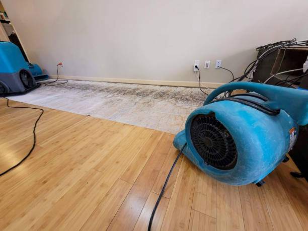 Professional Water Damage Repair technician working in Bellflower, CA